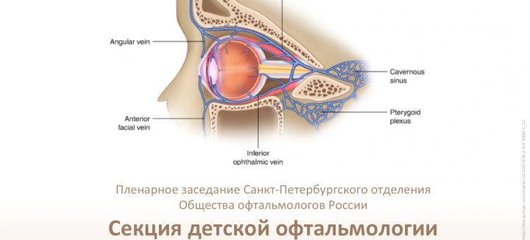 Детская офтальмология Заседание секции СПбОООР