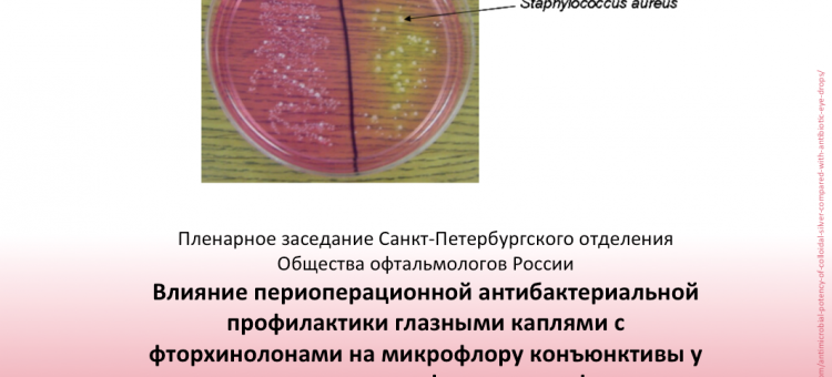 Инфекция в глазу Заседание СПбОООР 27 ноября 2018