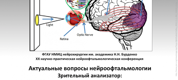 Нейроофтальмология Конференция 24 января 2020
