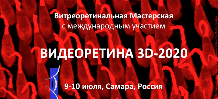 Видеоретина 3D 2020 Самара