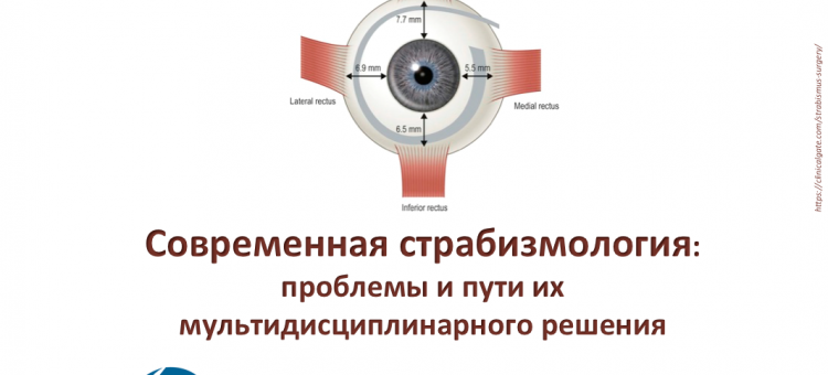 Современная страбизмология Конференция в Новосибирском МНТК