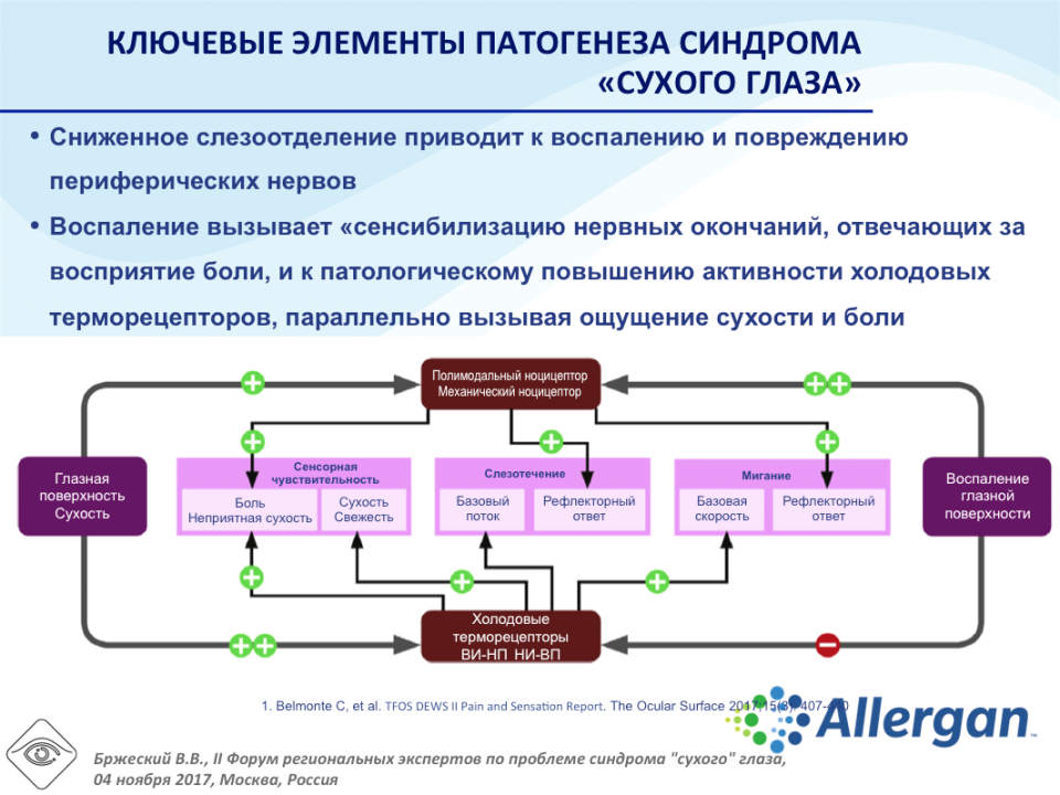 Сухой глаз Классификация Патогенез