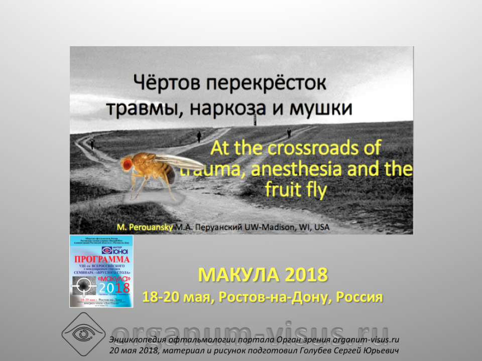 Офтальмогенетика и травма Перуанский М.А.