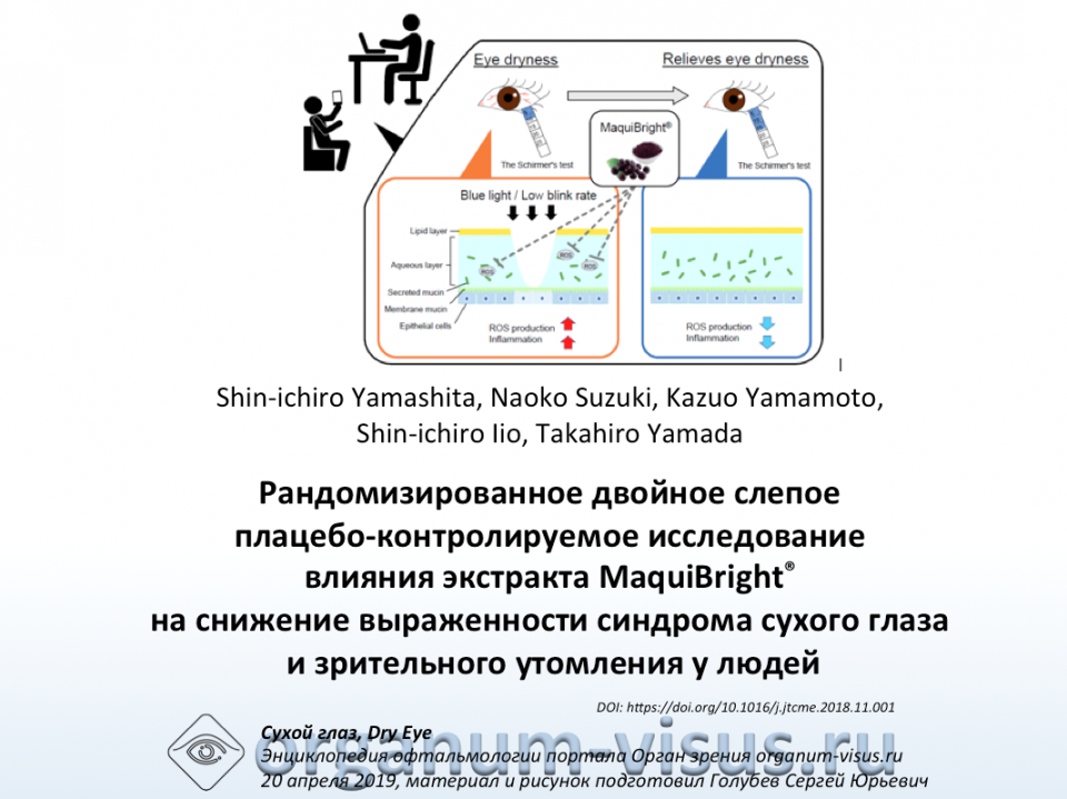 Сухой глаз Экстракт MaquiBright снижает сухость и зрительное утомление