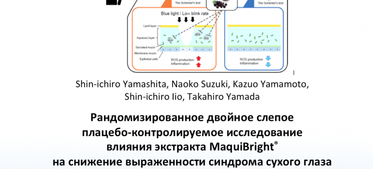 Сухой глаз Экстракт MaquiBright снижает сухость и зрительное утомление