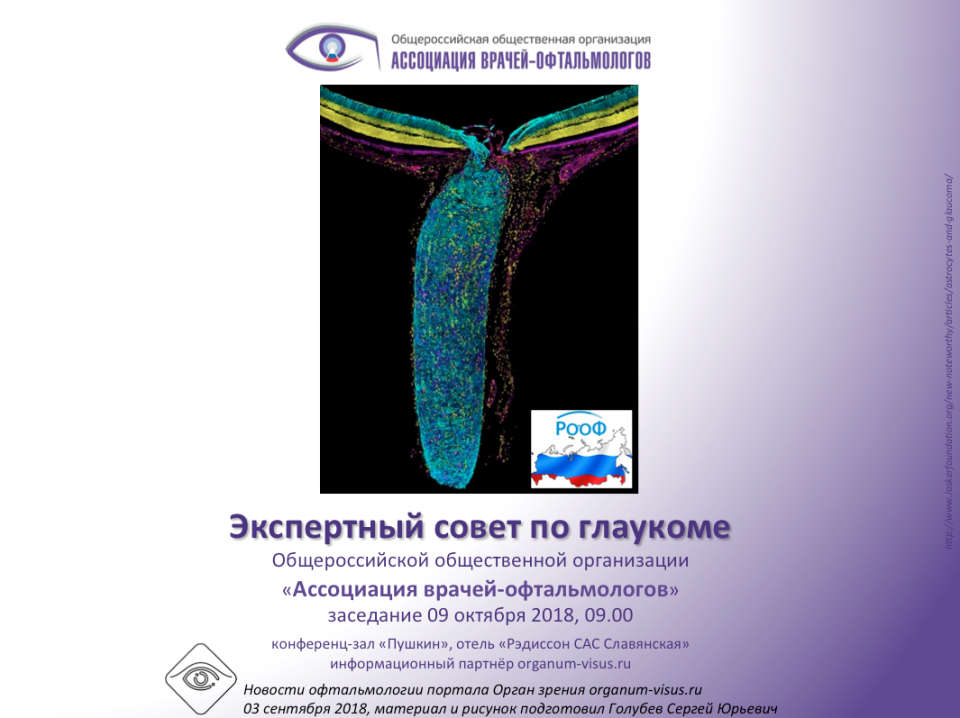 Глаукома Заседание Экспертного совета АВО в Москве