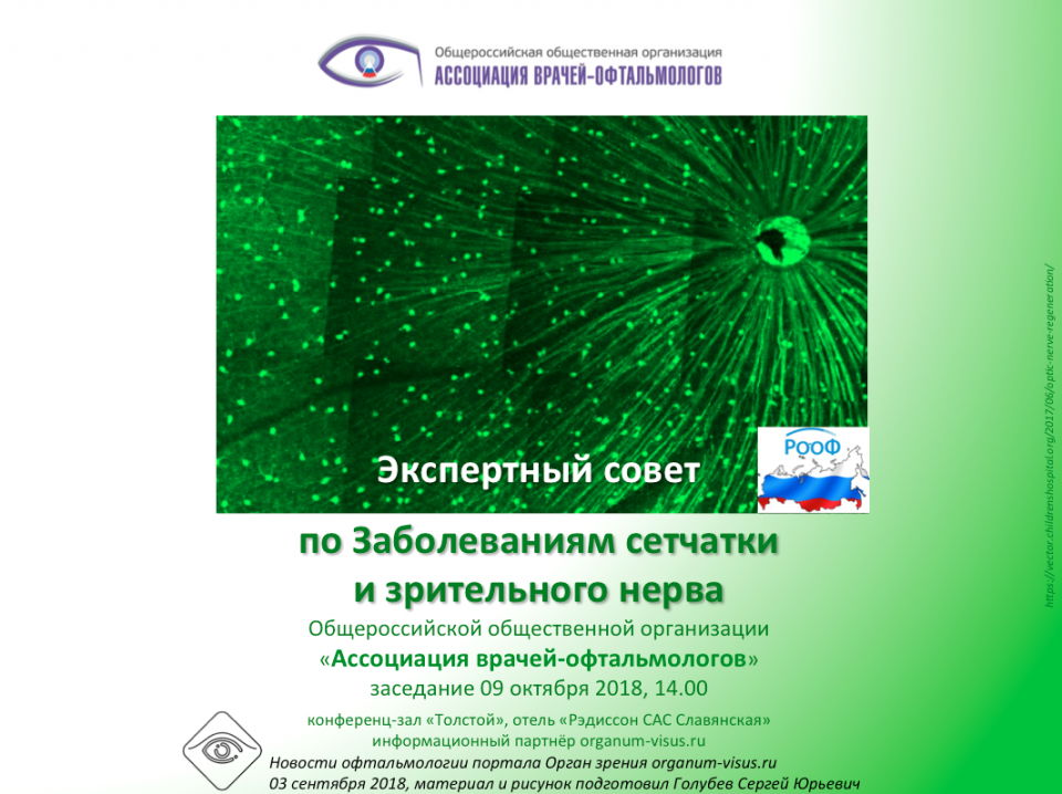 Болезни сетчатки Заседание Экспертного совета АВО в Москве