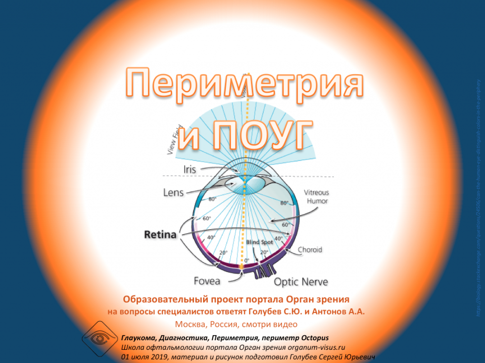 Глаукома Периметрия и ПОУГ Ответы на вопросы