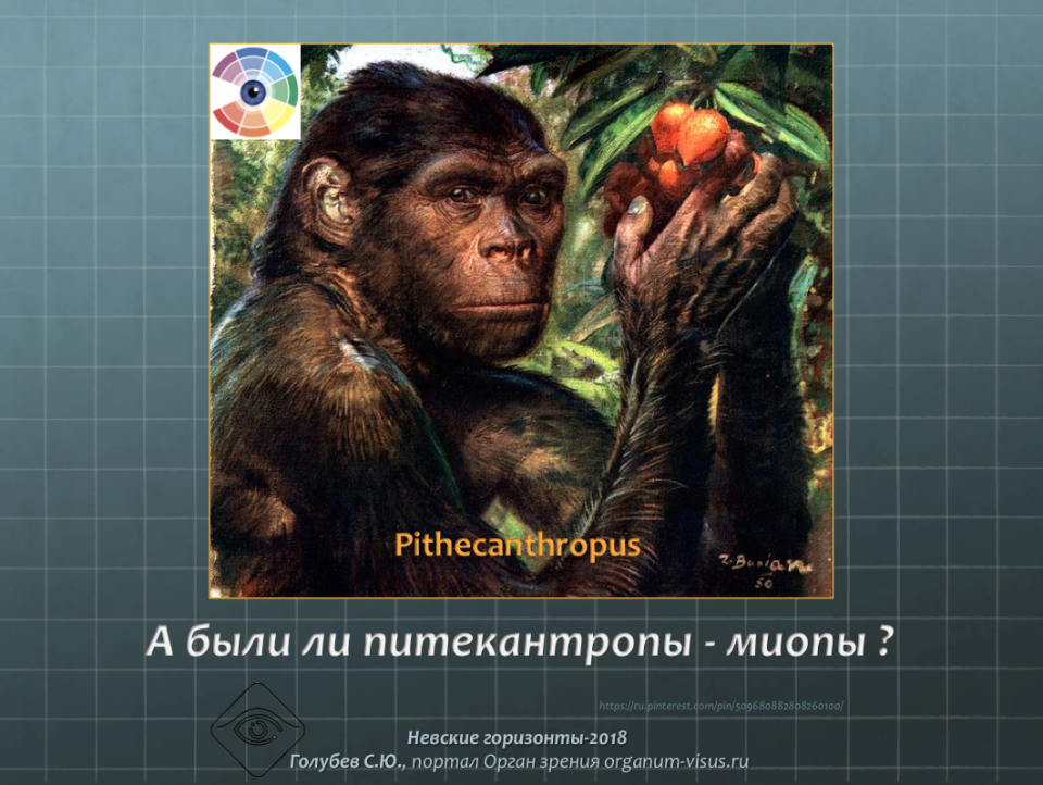 Миопия у питекантропов