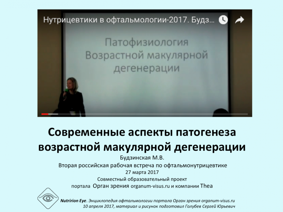 Нутрицевтики Патогенез ВМД Будзинская М.В.