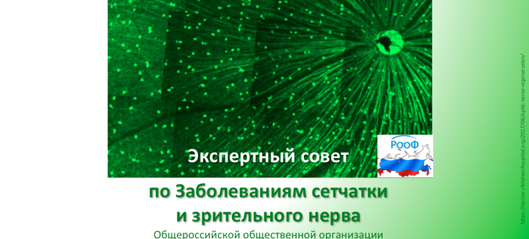 Болезни сетчатки Заседание Экспертного совета АВО в Москве