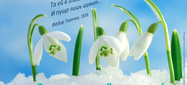 Портал Орган зрения С Первым днём Весны