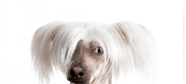 Конференции по офтальмологии 2018