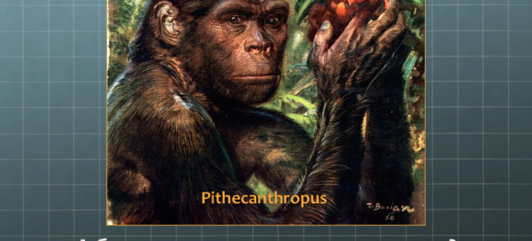 Миопия у питекантропов