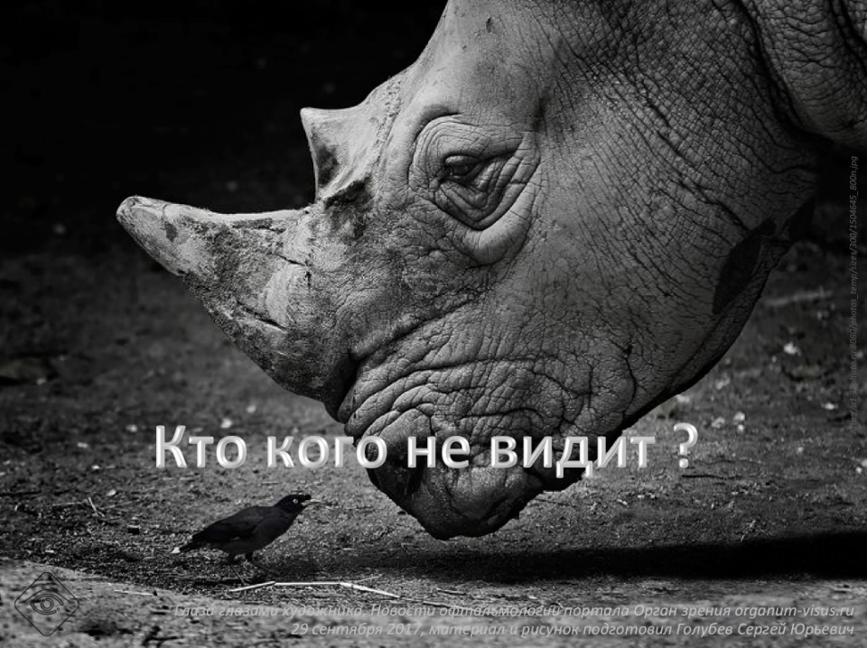 Кто кого не видит