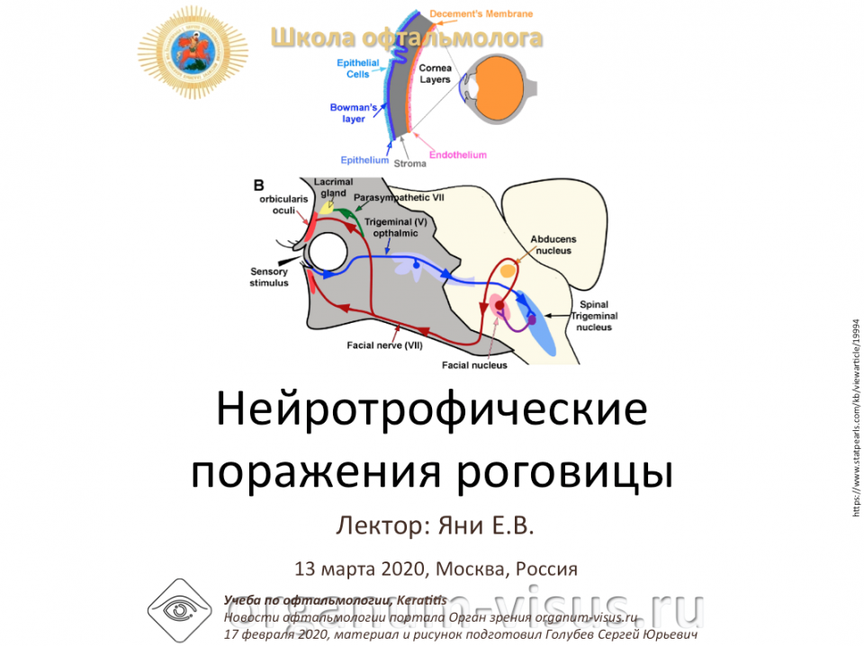 Телемедицина в офтальмологии НМИЦ ГБ им Гельмгольца Роговица