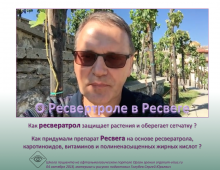Ресвератрол в препарате Ресвега Профилактика и лечение ВМД